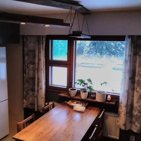 Saerkisalo 5 別荘 *