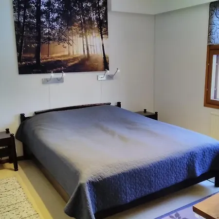 Saerkisalo 5 Konnevesi