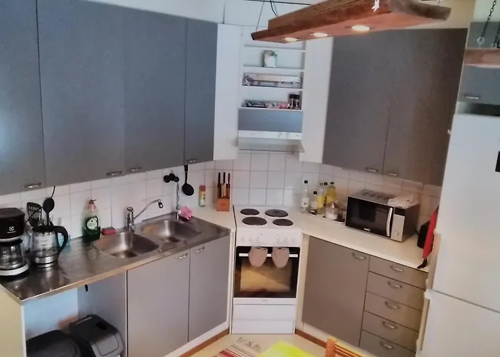 Saerkisalo 5 別荘 Konnevesi