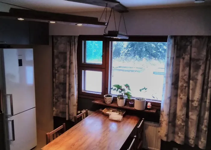 Saerkisalo 5 別荘 *