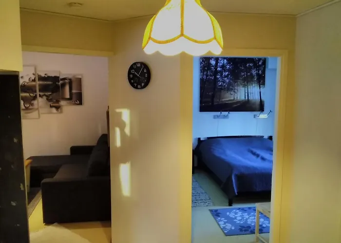 Saerkisalo 5 別荘 *