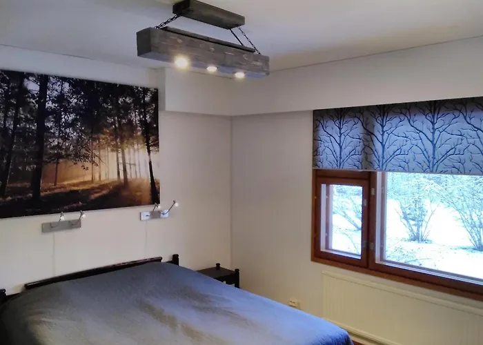 Saerkisalo 5 * Konnevesi